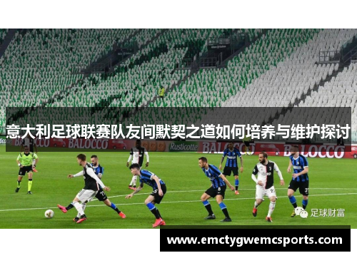 意大利足球联赛队友间默契之道如何培养与维护探讨
