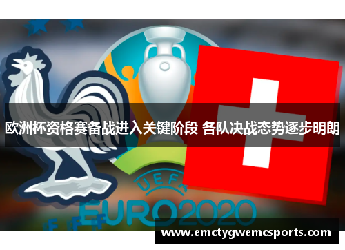 欧洲杯资格赛备战进入关键阶段 各队决战态势逐步明朗