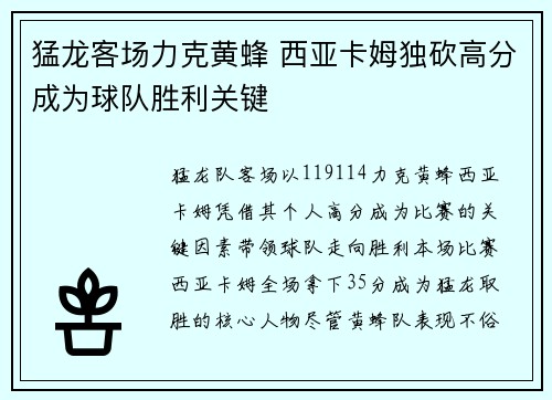 猛龙客场力克黄蜂 西亚卡姆独砍高分成为球队胜利关键