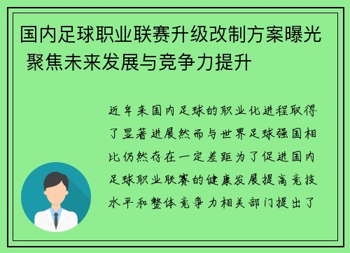 国内足球职业联赛升级改制方案曝光 聚焦未来发展与竞争力提升
